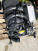 Motor BMW  S55B30A 3.0i 431ps  M3 M4 M2  19TKM komplett Mecklenburg-Vorpommern - Neubrandenburg Vorschau