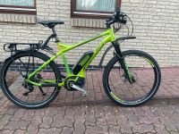 Bergamont Roxtar C8.0 MTB E-Bike Bosch 500WH Performanceline CX Schleswig-Holstein - Wilster Vorschau