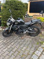 Sachs XTC 125ccm Bayern - Immenstadt Vorschau