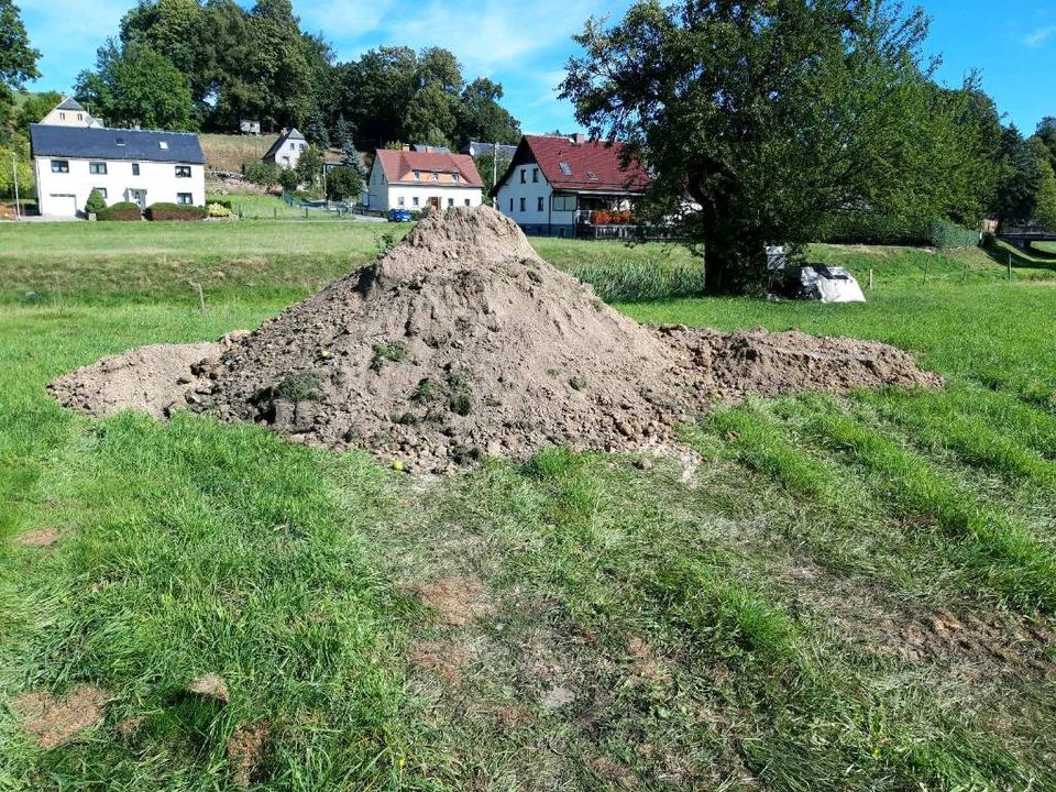 Erde, Aushub, Wald in Neusalza-Spremberg