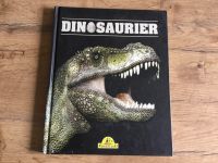 Dinosaurier, Buch, Dino, Kinderland Nordrhein-Westfalen - Geseke Vorschau