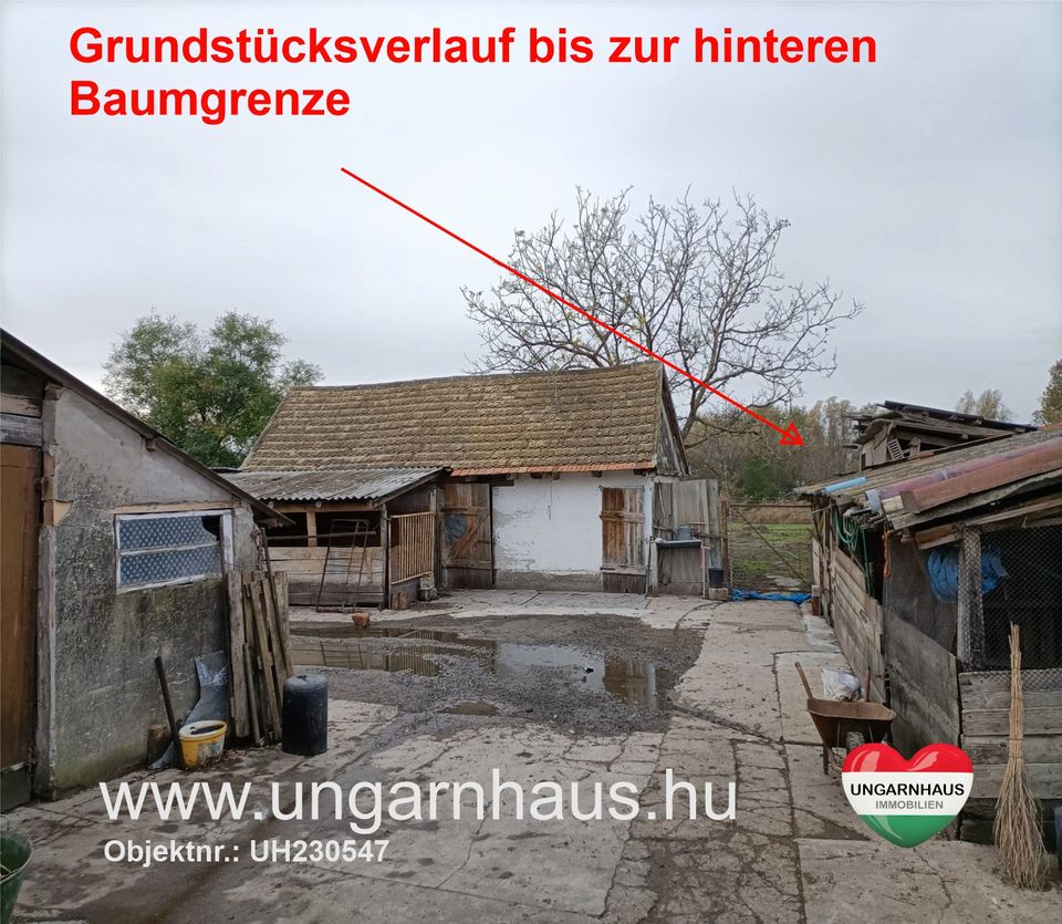 Haus in Ungarn , Südungarn => Toller Zustand , auch für Selbstversorger<= inkl. 4100 qm Grundstück in ruhiger Lage in Freudenberg