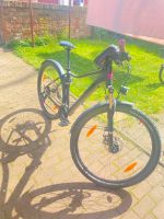 Cube Access Mountain Bike Damen Fahrrad Mecklenburg-Vorpommern - Wismar Vorschau