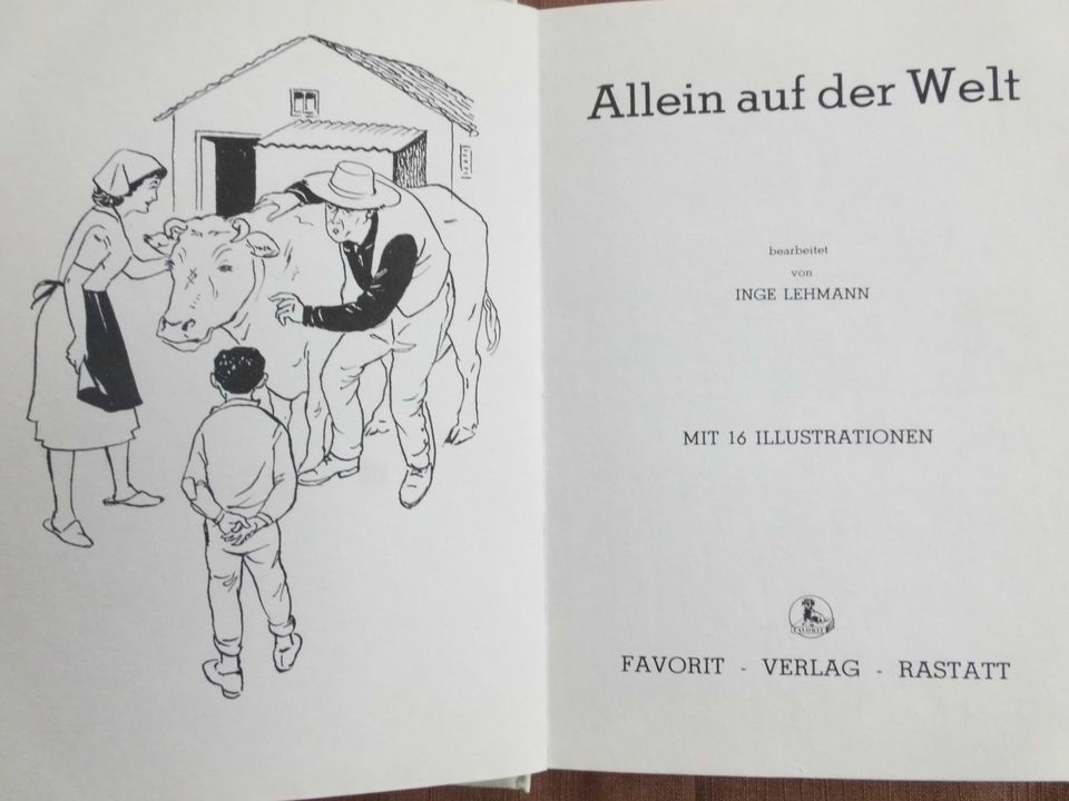 „Allein auf der Welt“ Seltenes Kinderbuch (1968) in Rödlin