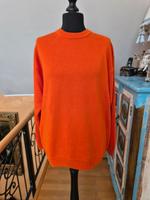 oranger Langarm-Pullover Strick von McNeal Mecklenburg-Vorpommern - Neubrandenburg Vorschau