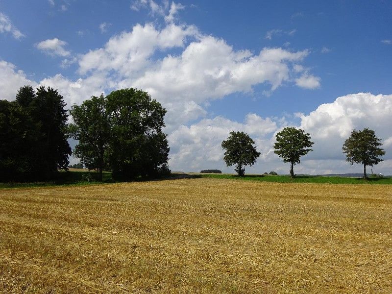 Hier könnte Ihr Projekt verwirklicht werden. Ob Wohnen, Gewerbe, Hobby.... in Lichtenfels