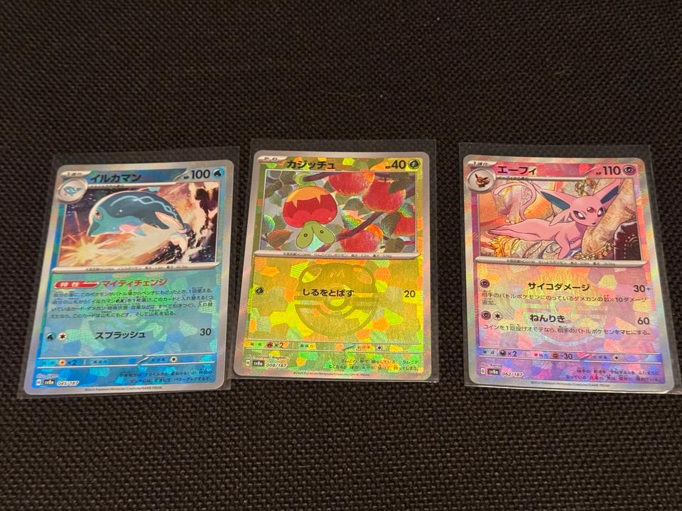 Pokémon Terestial Festival ex Pokeball und Meisterball in Oberkirch