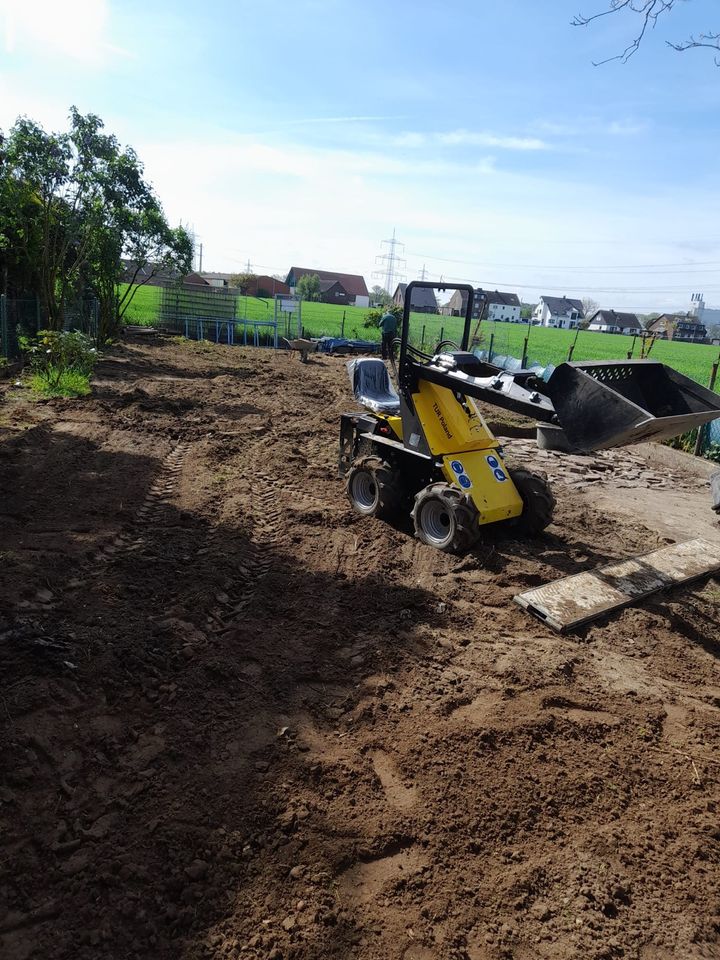 Rollrasen Gartenarbeit Gärtner Heckenschnitt  Umgraben in Essen