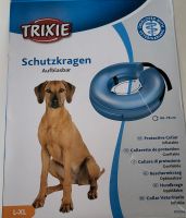 Schutzkragen für Hunde Bayern - Moosthenning Vorschau