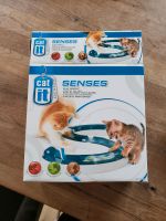 Spielschiene Katzen Bayern - Moosburg a.d. Isar Vorschau