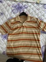 Poloshirt gesteift von BRAX, Größe M Nordrhein-Westfalen - Herford Vorschau