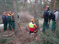 Motorsägenkurs Motorsägenschein Brennholz Gutschein Brandenburg - Trebbin Vorschau