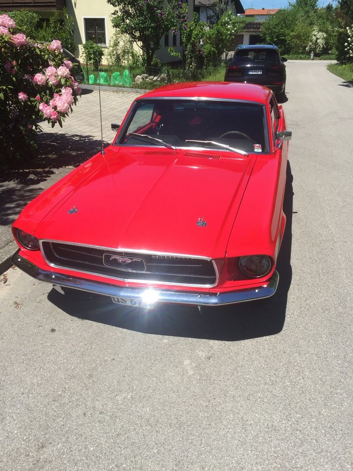 Ford Mustang in Teisendorf