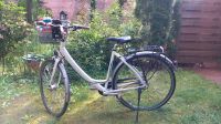 Stevens Fahrrad Damenrad 52cm 20,5 Zoll Berlin - Steglitz Vorschau