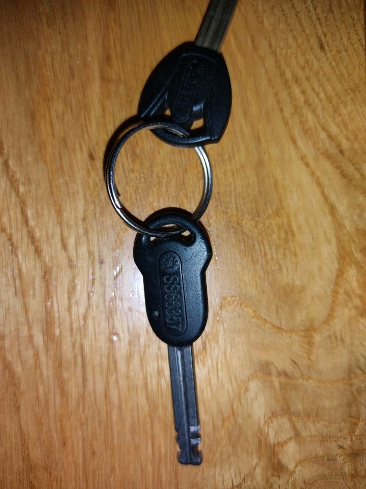 2 schwarze kleine Schlüssel auf Parkplatz gefunden Nähe Seeg in Seeg