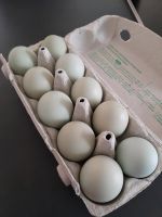 Eier zu verkaufen Bayern - Lalling Vorschau
