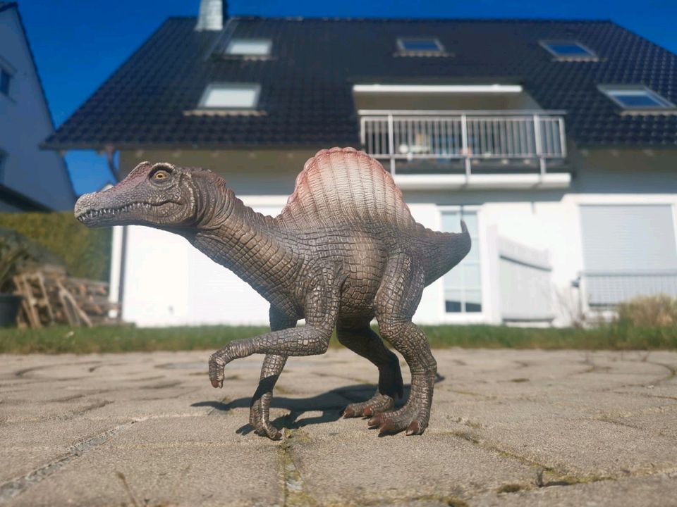 Schleich Dinosaurier in Iserlohn