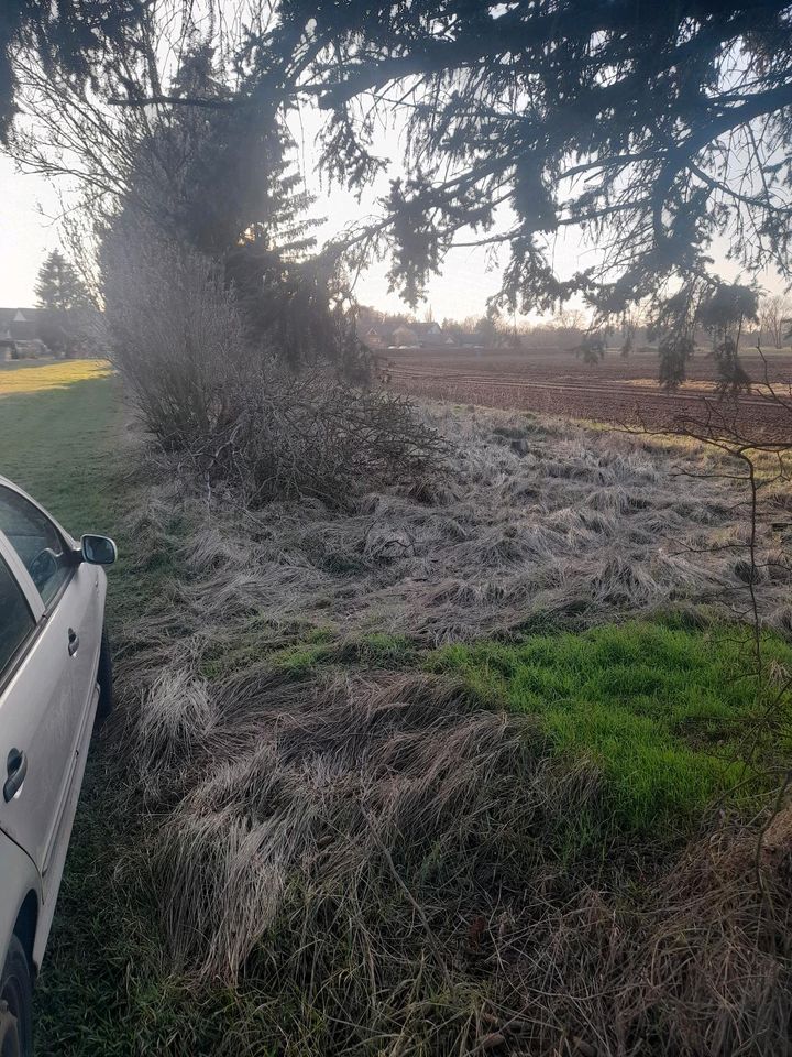 Gartengrundstück mit Finnenhütte und Geräteschuppen in Annaburg