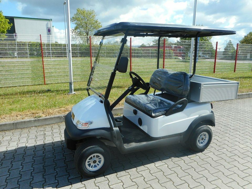 WSM Golfcart EX1300+Transportbox Elektrofahrzeug in Satteldorf