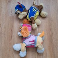 Paw patrol skye und Chase Teddys Niedersachsen - Haren (Ems) Vorschau