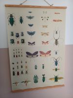 Plakat - Poster - Bild - Insekten - Schmetterlinge Innenstadt - Köln Altstadt Vorschau