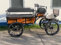 Wagonette für 8 Personen Naturholz Thüringen - Uhlstädt-Kirchhasel Vorschau