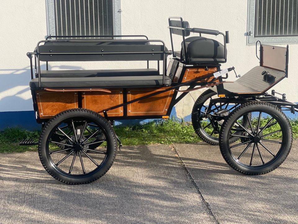 Wagonette für 8 Personen Naturholz in Uhlstädt-Kirchhasel