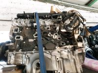 BMW G30 G31 550d Motor B57D30C Dortmund - Innenstadt-Nord Vorschau