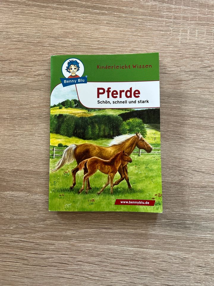 Buch Pferde Kinderwissen in Niedere Börde