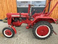 Cormick Farmall D 2012 Oldtimer Traktor sehr guter Zustand Bayern - Windischeschenbach Vorschau