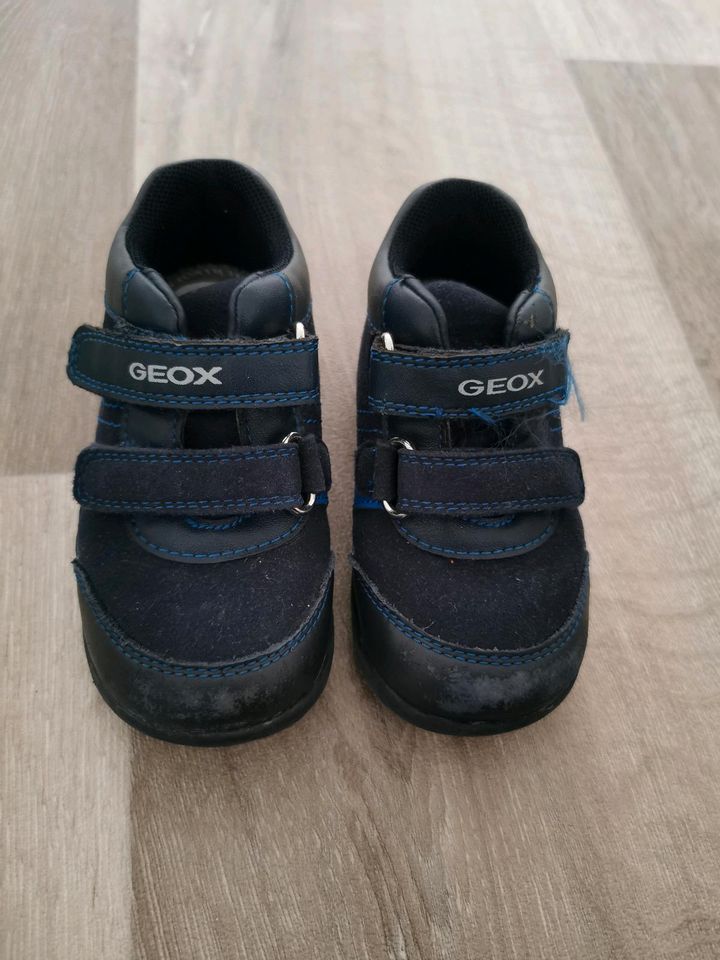 Geox Kinderschuhe in Breisach am Rhein  