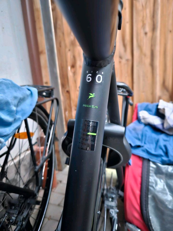 Pegasus Ancura E8 Disc E-Bike in Wolfsburg