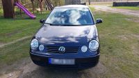 VW Polo 1.2 2004 Niedersachsen - Seevetal Vorschau