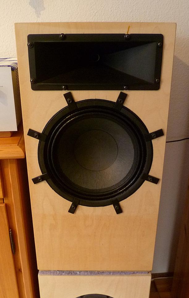 2 Party HiFi Home Lautsprecher *2-Wege-Horn PA Lautsprecher in Hage