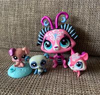 Littlest Pet Shop LPS Bergedorf - Hamburg Allermöhe  Vorschau