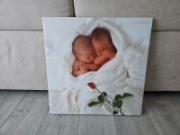 Anne Geddes Wandbild Keilrahmen 50×50cm Bayern - Großheubach Vorschau