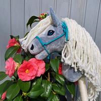 Individuelles Hobby Horse Nordrhein-Westfalen - Bergheim Vorschau