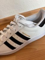 Adidas Superstars, neu Nordrhein-Westfalen - Lienen Vorschau