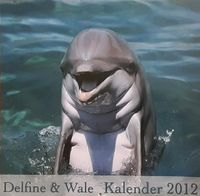 Delphin-Bilder zu verschenken Schleswig-Holstein - Jarplund-Weding Vorschau