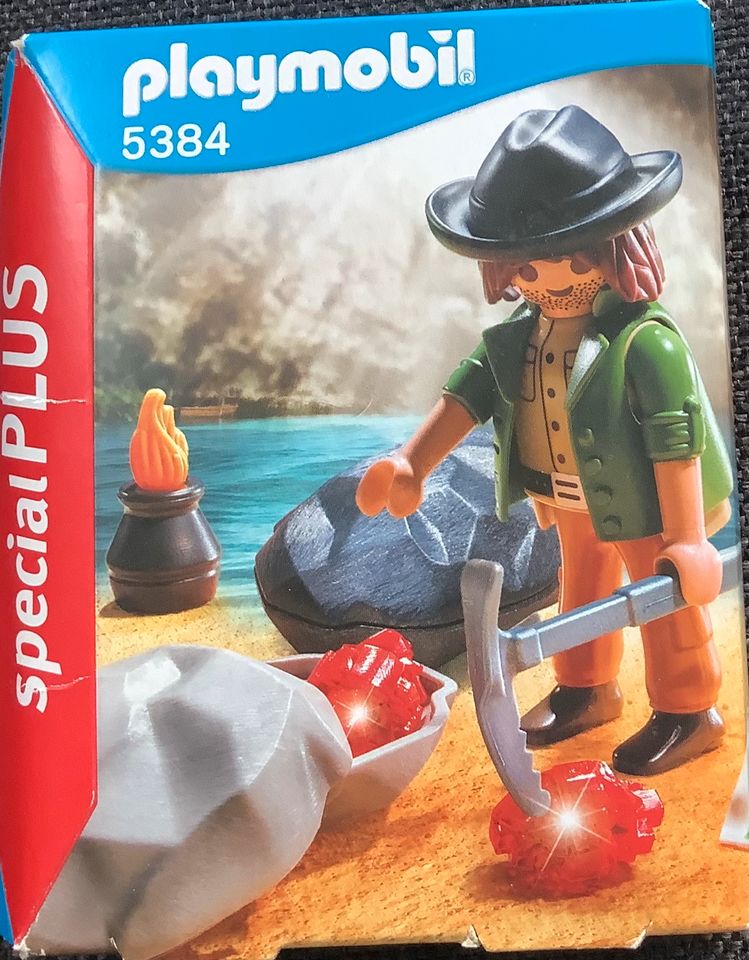 Playmobil Special PLUS 5384 Kristall-Sucher in Bayern - Unterleinleiter |  Playmobil günstig kaufen, gebraucht oder neu | eBay Kleinanzeigen ist jetzt  Kleinanzeigen