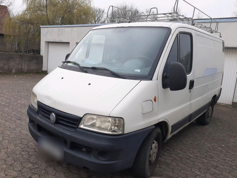 Fiat ducato 2,3 jtd Diesel TÜV 11 / 2025 in Kalletal