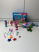 PLAYMOBIL 70033 StarterPack Seepferdchenkutsche Kr. München - Neuried Kr München Vorschau