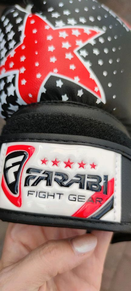 Boxhandschuhe Farabi 6oz in Estorf