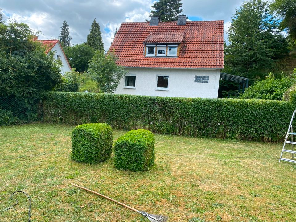 Zaunarbeit, Zaunbau, Sichtschutz, Gartenservice in Fritzlar