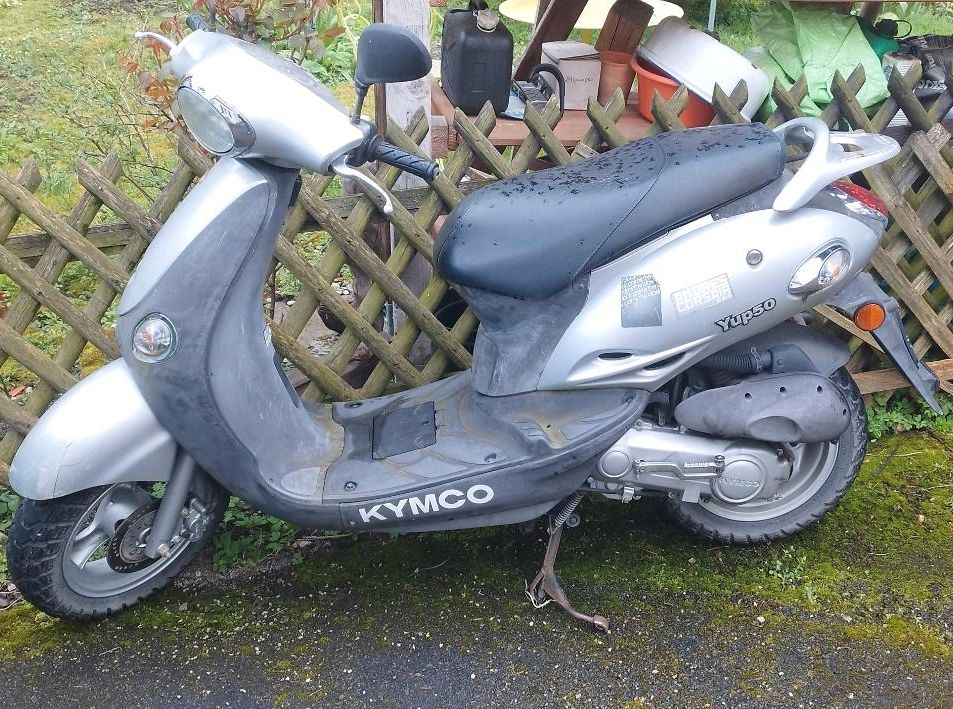 Kymco Yup50 ccm und 45km/h in Stuttgart