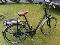 Elektrofahrrad Diamant Ubari+ Rahmenhöhe 54cm Hessen - Melsungen Vorschau