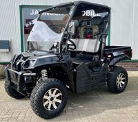 WSM RTX 800 Elektro UTV / Golfcart / Pritsche Niedersachsen - Bad Zwischenahn Vorschau