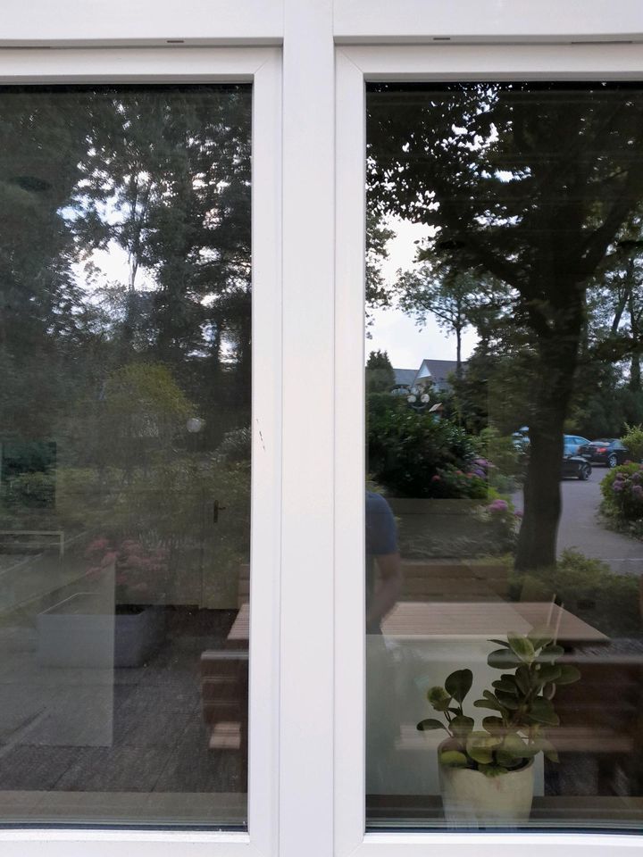 Professionelle Glasreinigung, Fensterreinigung, Fensterputzer in Borgholzhausen