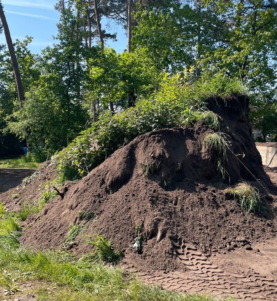 ‼️Mutterboden, Gartenerde ZU VERSCHENKEN ‼️ in Schloß Holte-Stukenbrock