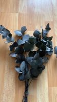 Eukalyptus Trockenblumen Deko Plastik Köln - Ehrenfeld Vorschau